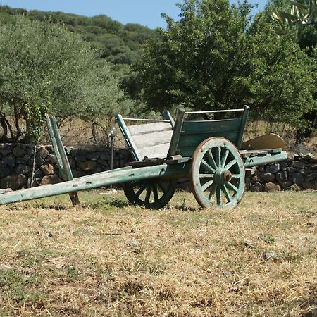 Villa Agriturismo Conca' E Janas à Dorgali Extérieur photo