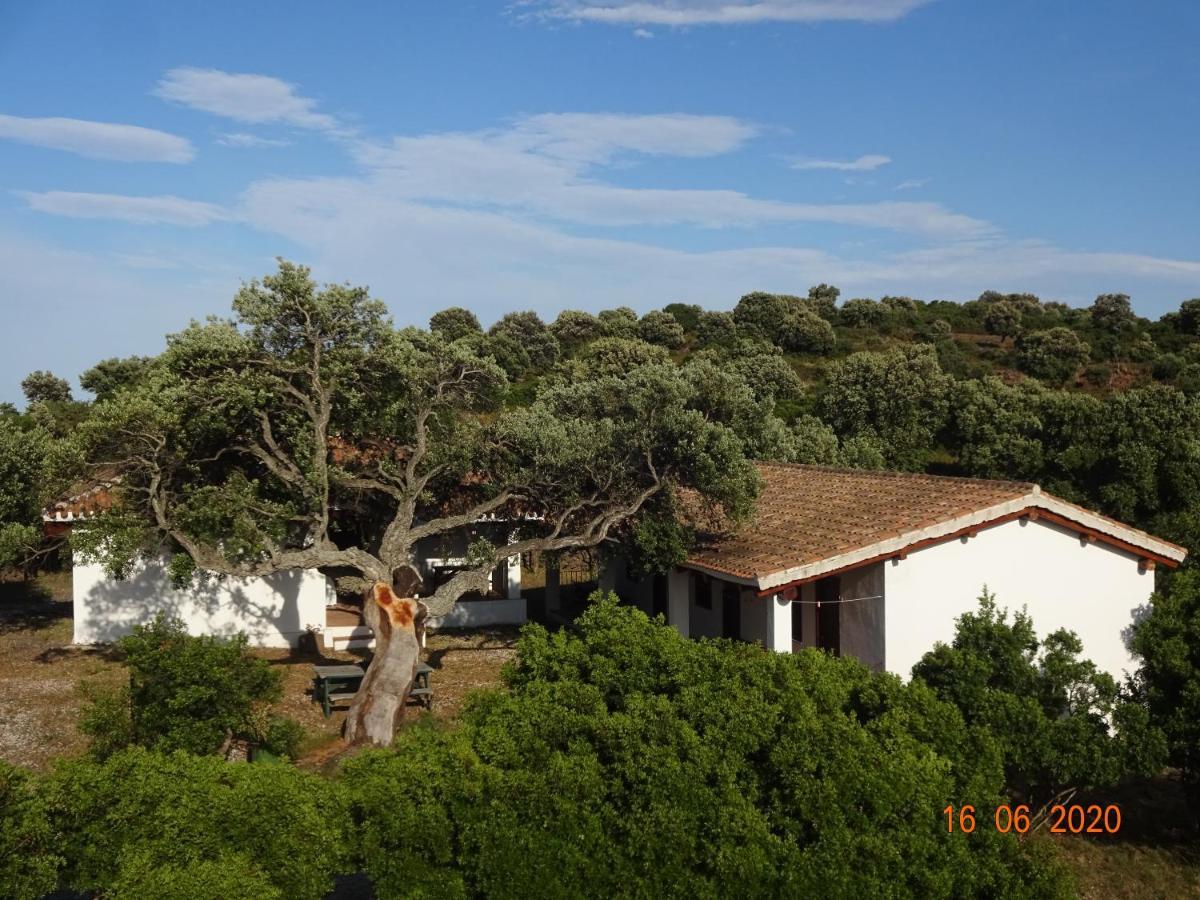 Villa Agriturismo Conca' E Janas à Dorgali Extérieur photo