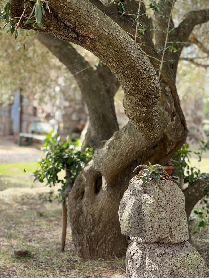 Villa Agriturismo Conca' E Janas à Dorgali Extérieur photo