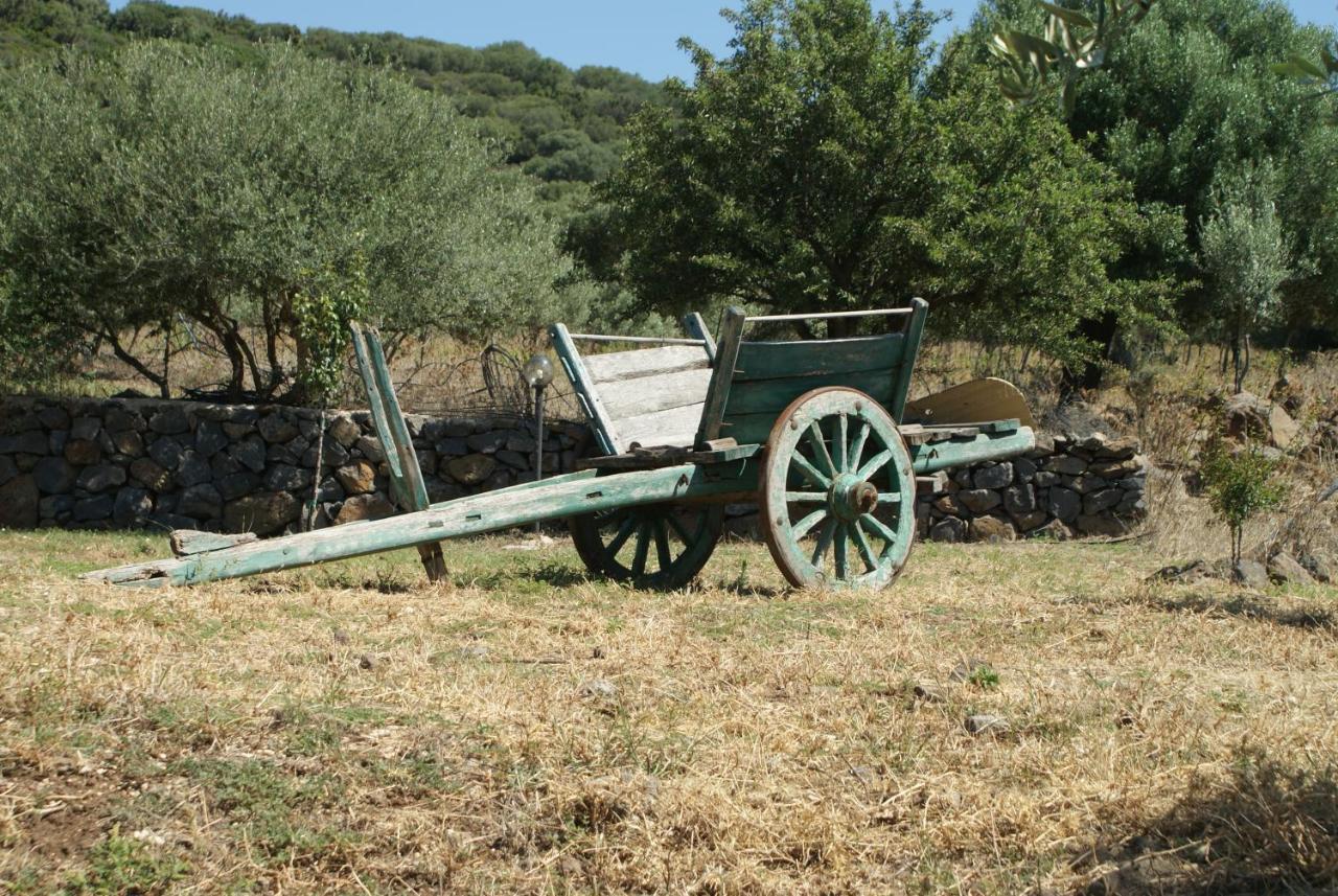 Villa Agriturismo Conca' E Janas à Dorgali Extérieur photo