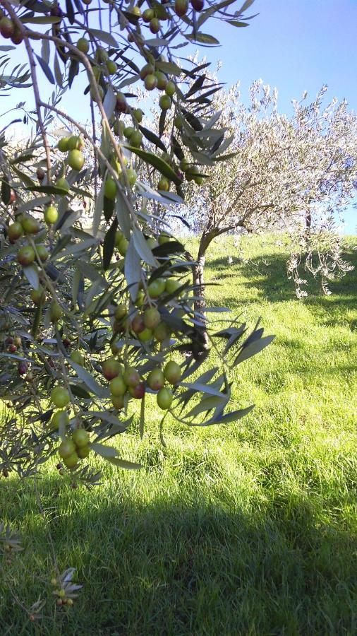 Villa Agriturismo Conca' E Janas à Dorgali Extérieur photo