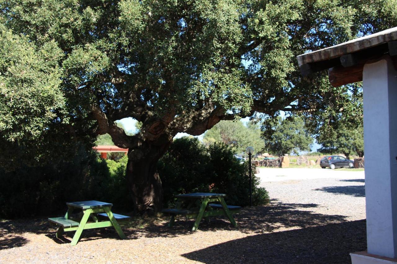 Villa Agriturismo Conca' E Janas à Dorgali Extérieur photo